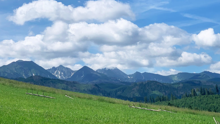 Widok na okolicę z domu